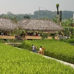 Dsawah Resort