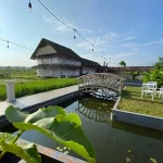 Dsawah Resort