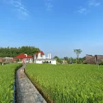 Dsawah Resort