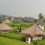 Dsawah Resort