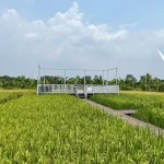 Dsawah Resort