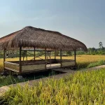 Dsawah Resort