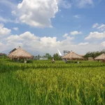 Dsawah Resort