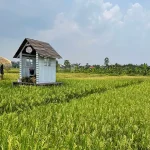 Dsawah Resort