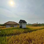 Dsawah Resort