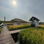 Dsawah Resort