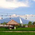 Dsawah Resort