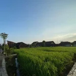 Dsawah Resort