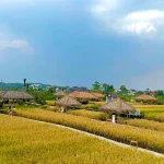 Dsawah Resort