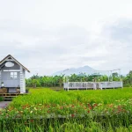Dsawah Resort